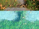 image of grave number 171956